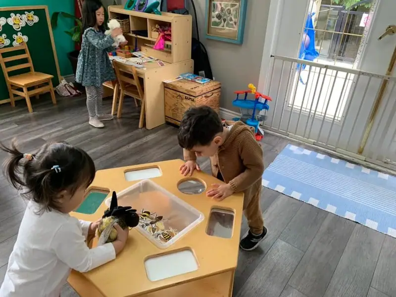 Children examining insects in a sensory tray with a magnifying glass
