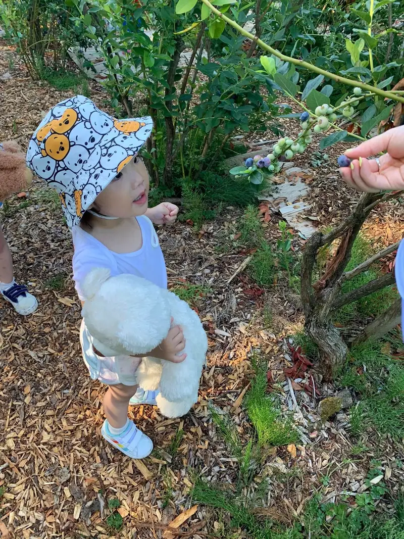 A toddler in a patterned sun hat carrying a teddy bear through the garden