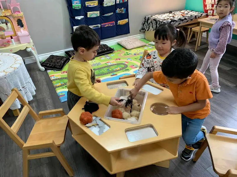 Children exploring pumpkins and gourds at the sensory table