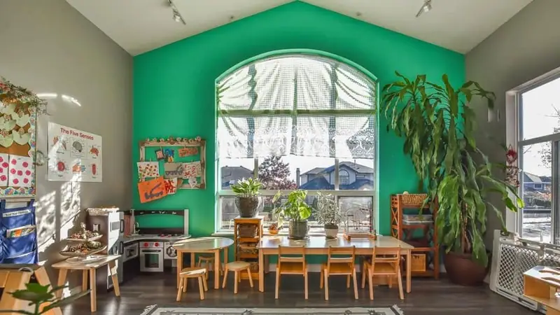 A green learning room with a tall arched window and potted plants